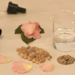 The Ingredients For Making Perfume of High Quality [2024]