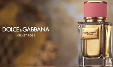 Dolce and Gabbana Velvet Rose Review: Is it a Quality Perfume? [2024]