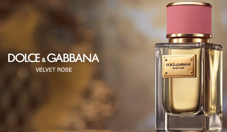 Dolce and Gabbana Velvet Rose Review: Is it a Quality Perfume? [2024]