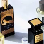 Best Perfumes Under $5,000 For Women & Men [2024]